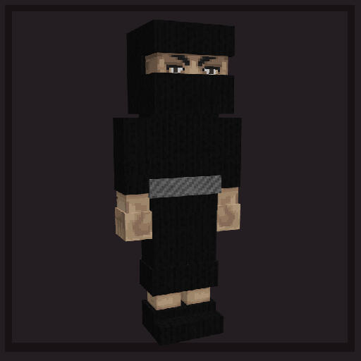 Ninja